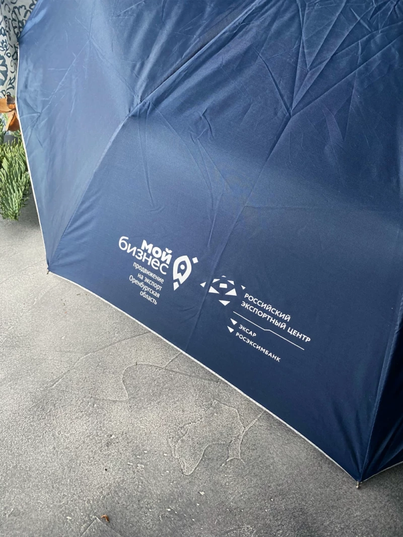 Печать на зонтах заказать в Казани